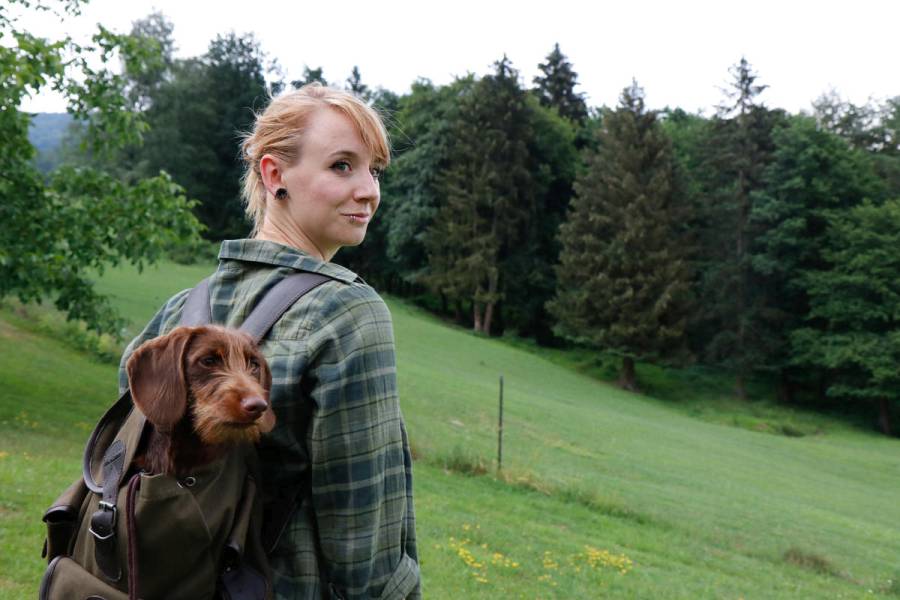 Besonders beliebt in Jägerhaushalten: der Dackel. (Quelle: Martinsohn/DJV)