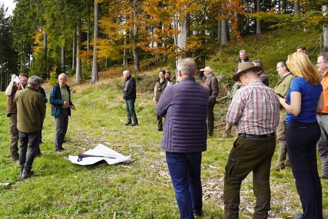 Die Zukunft des baden-württembergischen Wappentiers – ein Lösungsansatz