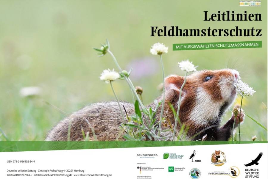 Deckblatt des Leitfadens des Feldhamsterlandprojektes. (Quelle: Screenshot)