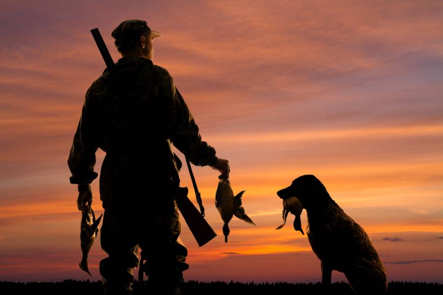 Jäger mit Jagdhund und erlegten Enten im Abendrot. (Symbolbild: iStock/PavelRodimov)
