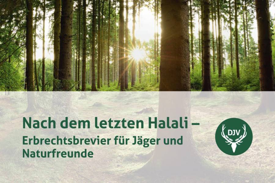 Mit Vermächtnissen oder Schenkungen vielfältige Projekte der Jägerschaft unterstützen. (Quelle: DJV)