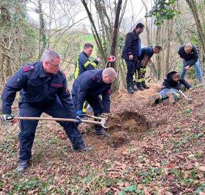 Mit jeder Menge Personal und Material waren Feuerwehr und Rettungsdienst in den Wald ausgerückt. (Foto: Feuerwehr Bonn)