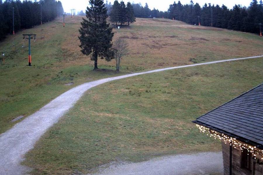 Blick auf den Skilift Ruhestein. (Quelle: Webcam)