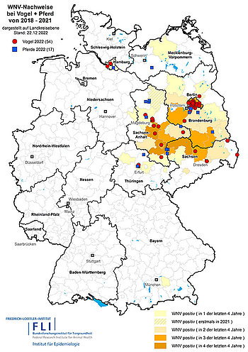 Karte: Nachgewiesene Fälle von Infektionen mit West-Nil-Virus bei Vogel und Pferd, Stand 22.12.2022 (Quelle: FLI)