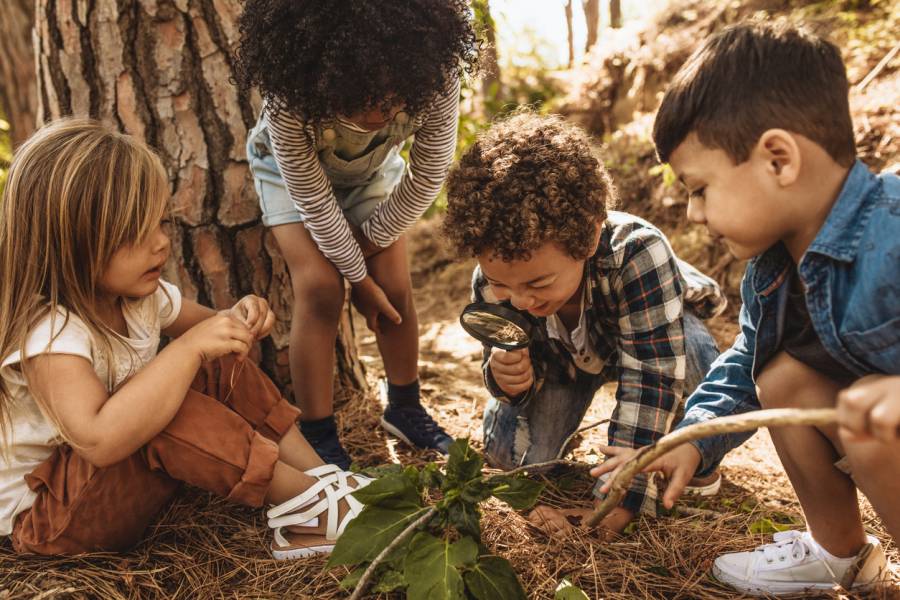 Kinder im Wald mit Lupe. (Symbolbild: iStock/jacoblund)