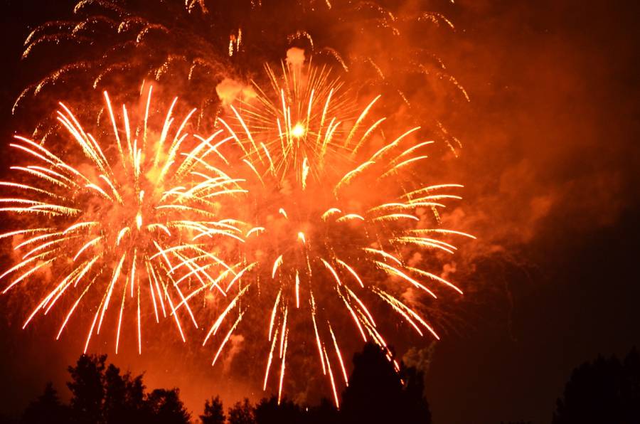 Feuerwerk über einem Waldstück. (Symbolbil: Olivia Kirkham)