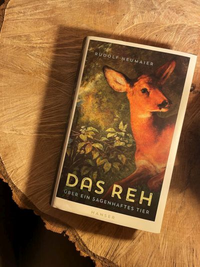 Debütroman: "Das Reh: über ein sagenhaftes Wesen" (Quelle: Boderius/DJV)