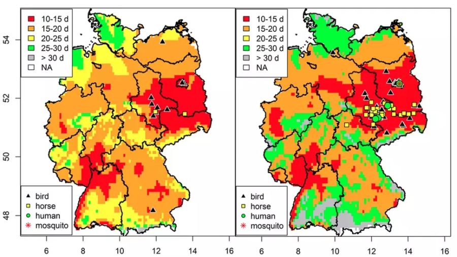 Räumliches Risiko der Übertragung des West-Nil-Virus (WNV) in Deutschland 2018/ 2019. ©MDPI Viruses / Ute Ziegler 2019 et al.