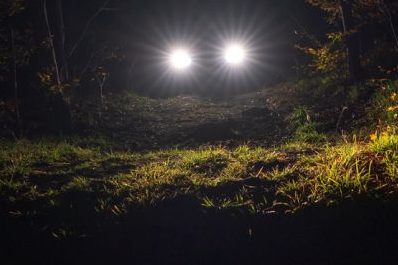 Autoscheinwerfer nachts im Wald. (Symbolbild: iStock/Armastas)