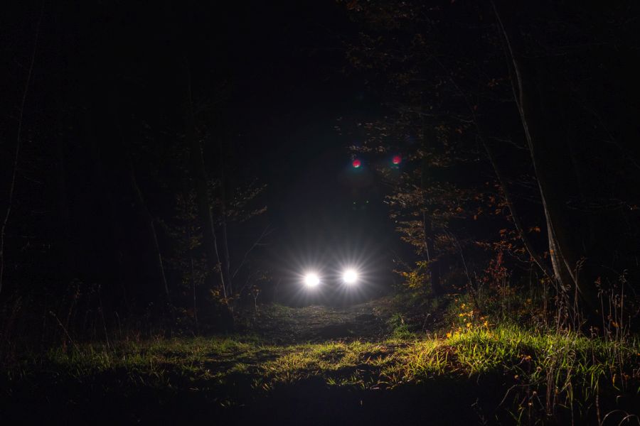 Autoscheinwerfer nachts im Wald. (Symbolbild: iStock/Armastas)