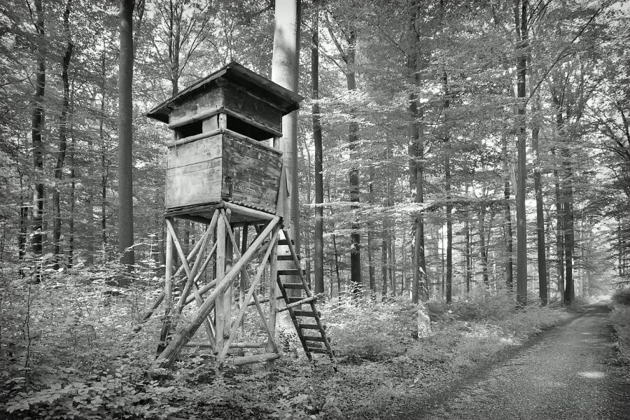 Ein Hochsitz im Wald. (Symbolbild: Pictavio)