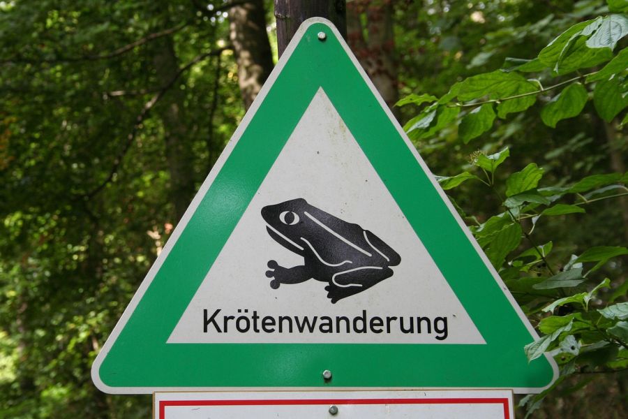 Schild „Krötenwanderung“. (Symbolbild: Momo_2210)