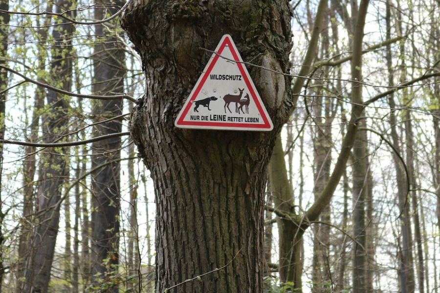 Schild „Wildschutz – Nur die Leine rettet Leben“. (Symbolbild: Christian Storb)