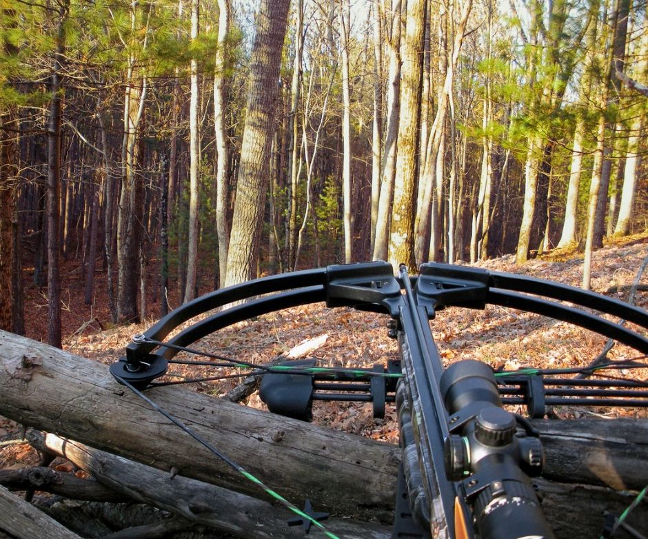 Eine Armbrust mit Zielfernrohr, die auf einem Holzstoß im Wald abgelegt ist. (Symbolbild: iStock/liveslow)