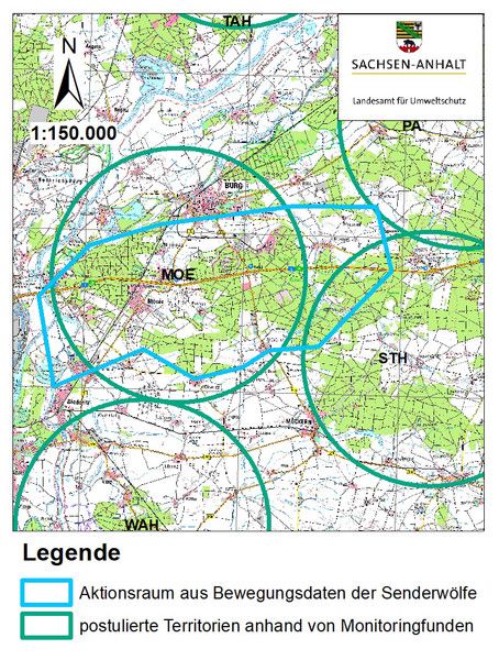 Rund 200 Quadratkilometer groß ist das Territorium des Möckerner Wolfsrudels. (© LAU)