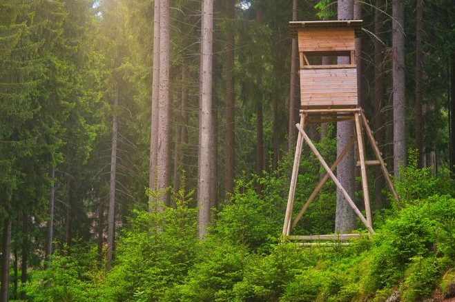 Ein Hochsitz im Wald. (Symbolbild: iStock/Torsten Irmer)