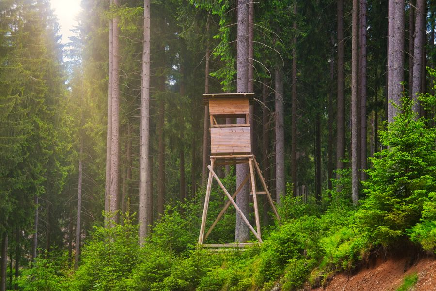 Ein Hochsitz im Wald. (Symbolbild: iStock/Torsten Irmer)