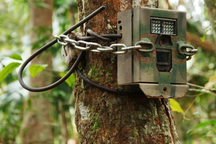 Diebstahl von Wildkameras: Niedersächsische Landesforsten kündigen Betriebsleiter fristlos