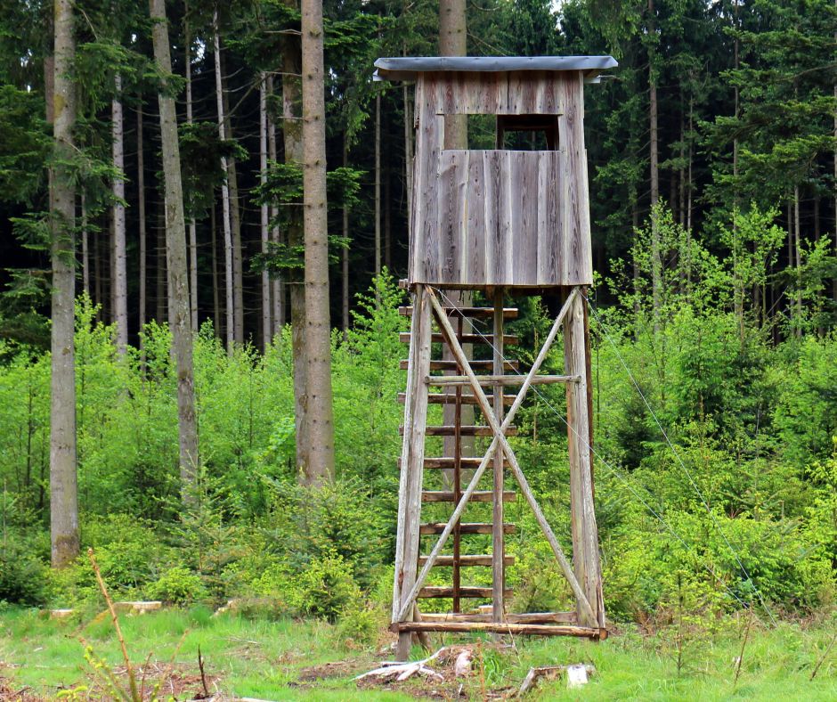 Ein Hochsitz in einem Wald. (Symbolbild: Manfred Antranias Zimmer)