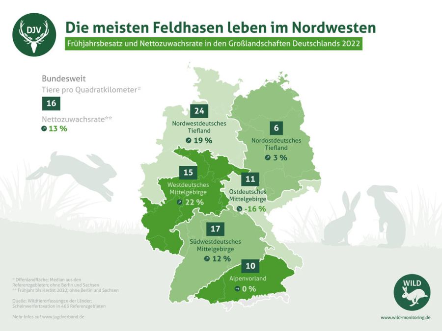 Das Nordwestdeutsche Tiefland ist besonders hasenreich: Hier leben bis zu 24 Tiere pro Quadratkilometer. (Quelle: DJV)