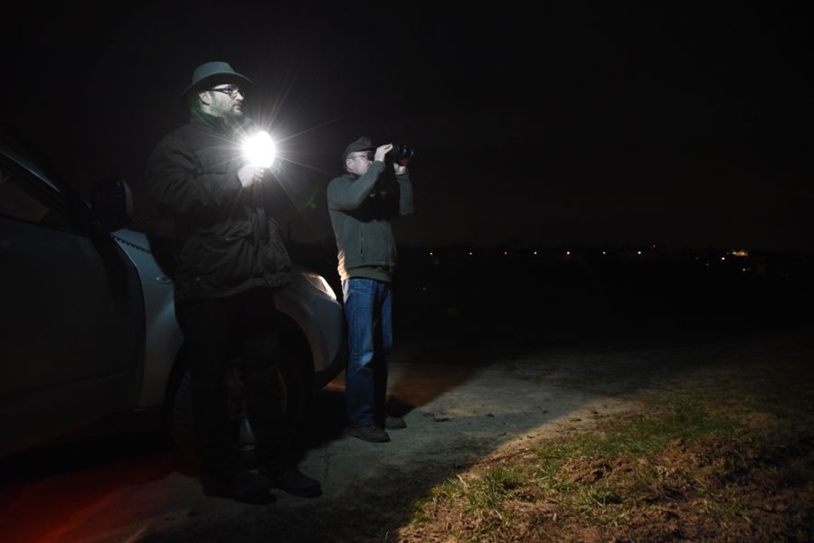 Hasenzählung (Foto: Markus Stifter)