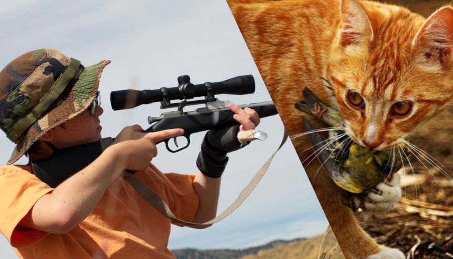 Ein Junge, der einen Camouflage-Hut und ein orangefarbenes T-Shirt trägt, hat ein Repetiergewehr mit Zielfernrohr im Anschlag. Daneben eine Katze, die einen Vogel erbeutet hat. (Fotos: iStock/arinahabich; rihaij)