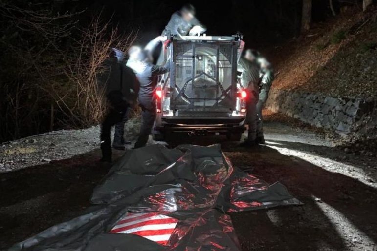 Bärin JJ4 wurde im Val Meledrio gefangen