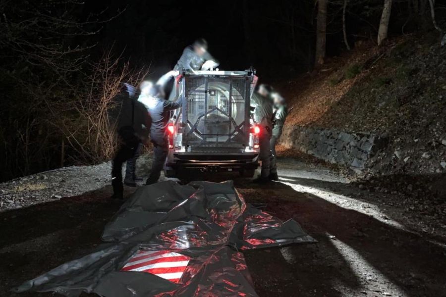 Auf diesem Bild ist die Vorbereitung zum Abtransport der Bärin JJ4, zu sehen, kurz nachdem sie in die falle gegangen war. (Foto: Archivio Ufficio Stampa PAT)