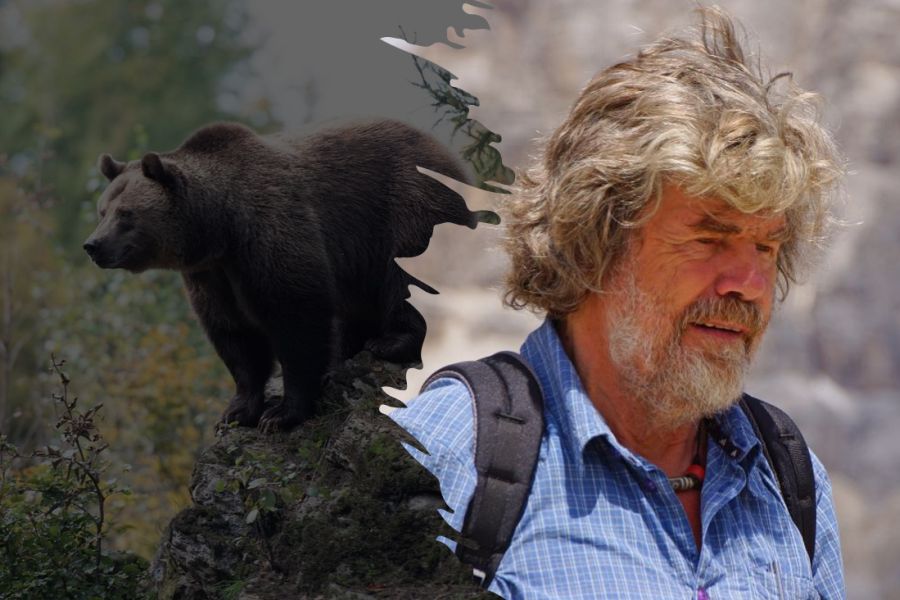 Auch der bekannte Bergsteiger Reinhold Messner hat sich zur Debatte um ein Management von Großraubtieren in Südtirol geäußert. (Fotos: Eszter Miller/Rottonara)