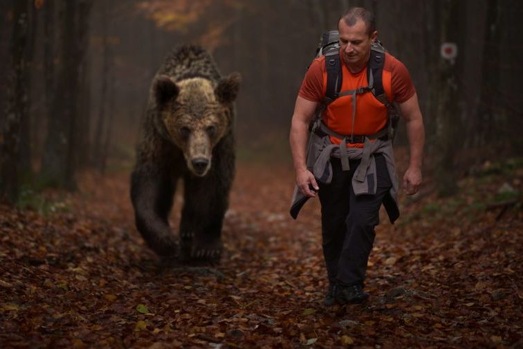 Streit über Umgang mit Bären spitzt sich zu und spaltet Stadt und Land