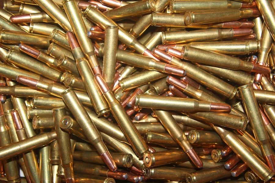 Schweden lehnt vollständiges Verbot bleihaltiger Munition ab