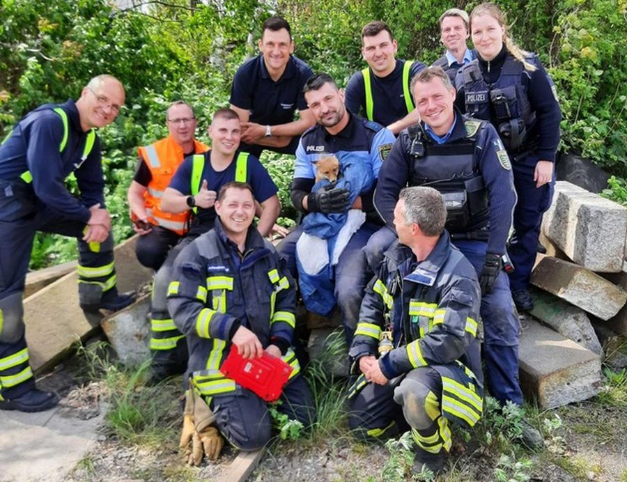 Fuchswelpe im Kreis seiner Retter (Bild: Bundespolizei Leipzig)