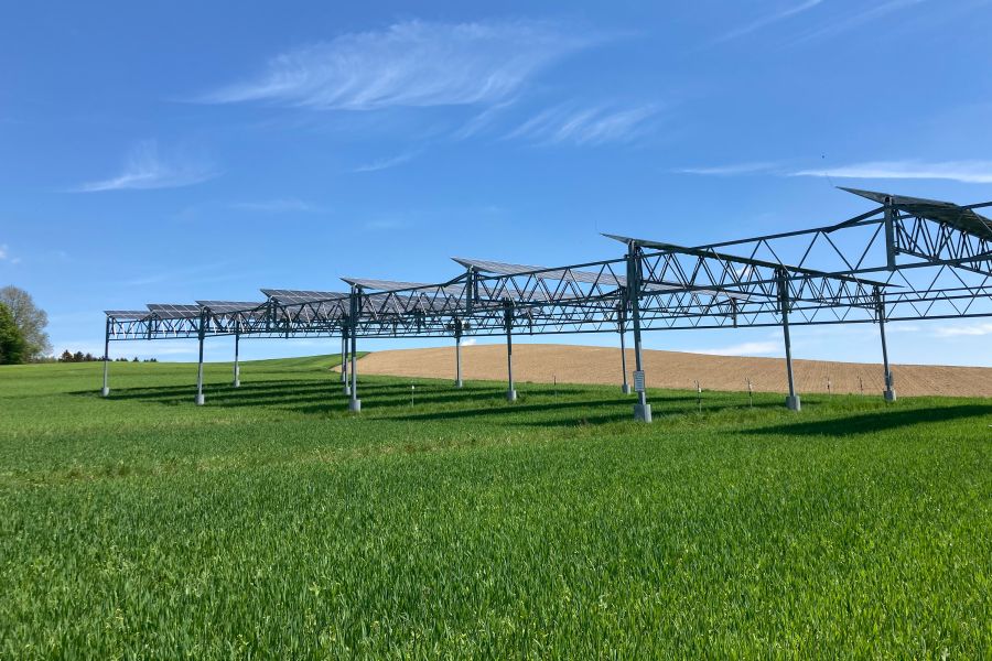 Bei Dürre sogar ertragssteigernd: Hoch aufgeständerte Agri-Photovoltaikanlagen schützen durch Beschattung. (Bildquelle: Universität Hohenheim / Andreas Schweiger)