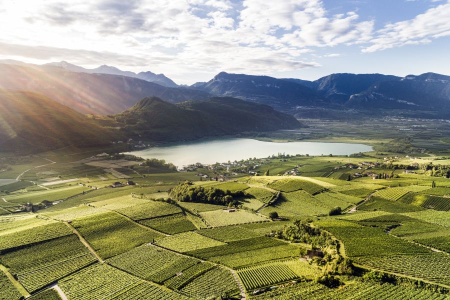 Südtirol: Vereinzelte Bären kein Risiko (Bildrechte: IDM Südtirol /  Fotograf: Peter von Felbert)