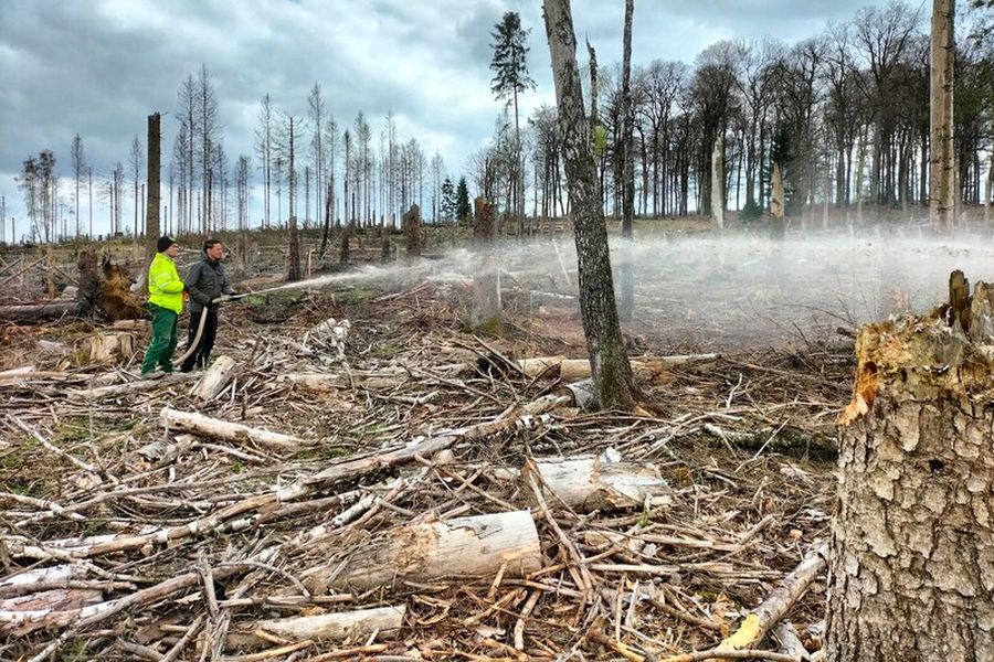 Gemischt mit Wasser und Zellulose lassen sich Baumsamen bis zu 50 Meter weit spritzen (Bild: Wald und Holz NRW)