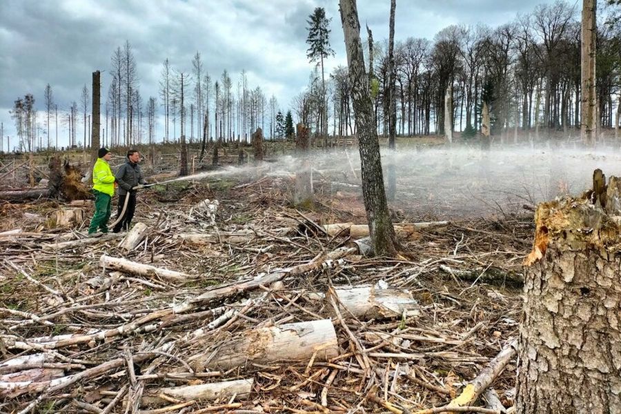 Gemischt mit Wasser und Zellulose lassen sich Baumsamen bis zu 50 Meter weit spritzen (Bild: Wald und Holz NRW)