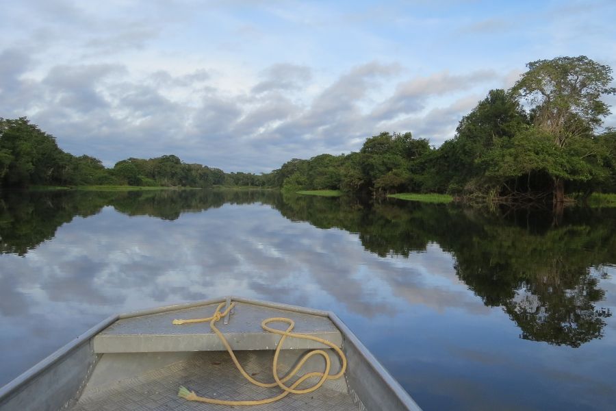 Der Amazonas von einem Boot aus aufgenommen. (Symbolbild: luis deltreehd)