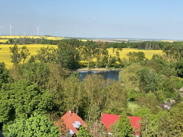 Der Blick vom Kirchturm gen Uckermark. (Foto: mlz)