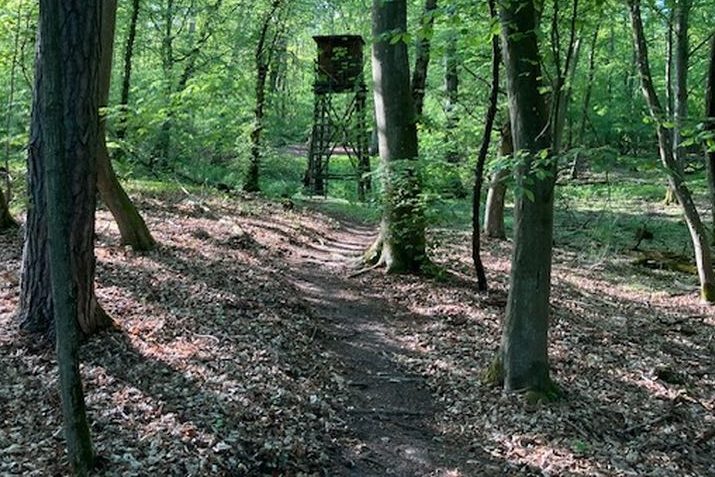 Zur Bockjagd an Christi Himmelfahrt