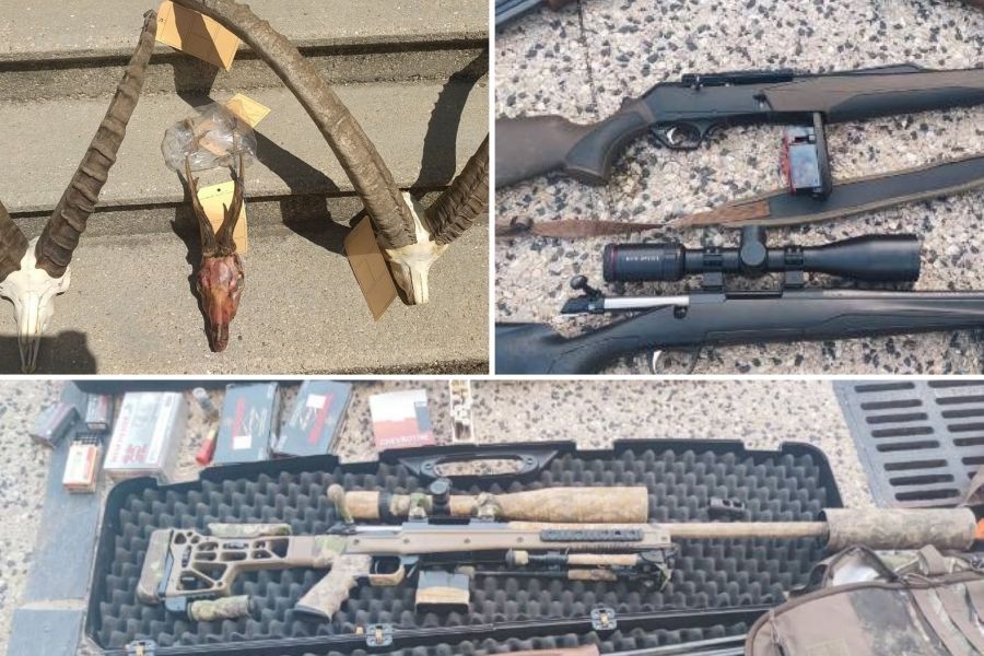 Die Polizei konnte Trophäen, Waffen, Munition sowie zwei Autos sicherstellen. (Quelle: Gendarmerie de la Drôme)