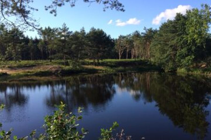 (Foto: Jägerschaft Zeven e. V.)