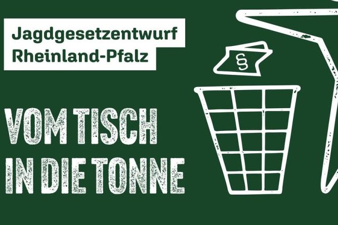 DJV lehnt Jagdgesetzentwurf aus Rheinland-Pfalz in Gänze ab
