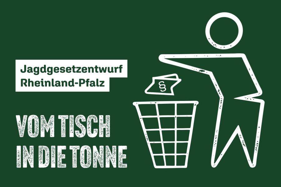 Der DJV lehnt den Jagdgesetzentwurf komplett ab. (Quelle: DJV)