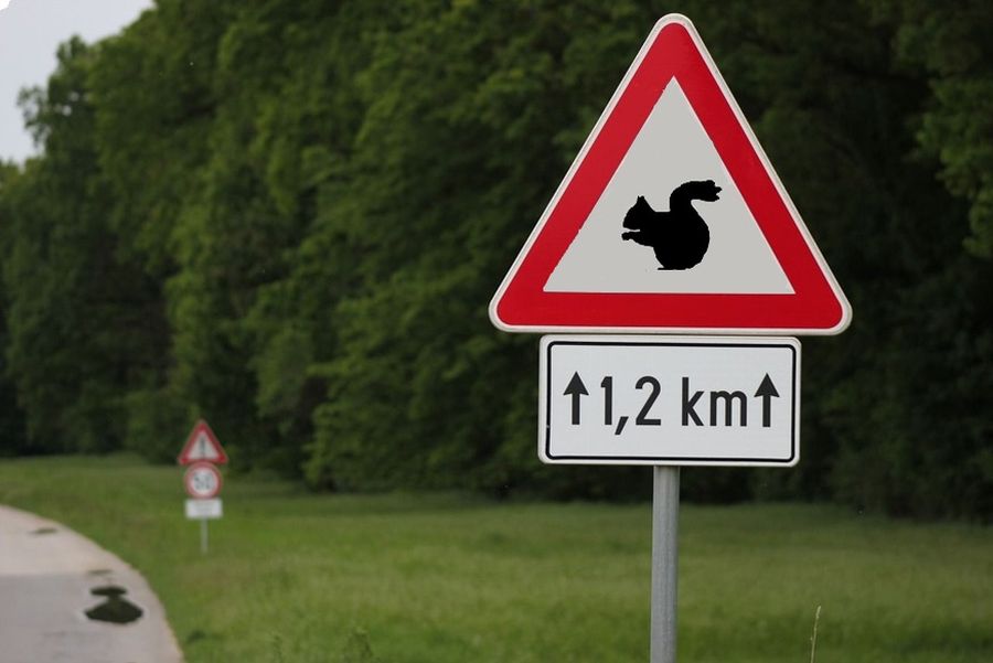 „Eichhörnchen-Warnschild“ muss weg