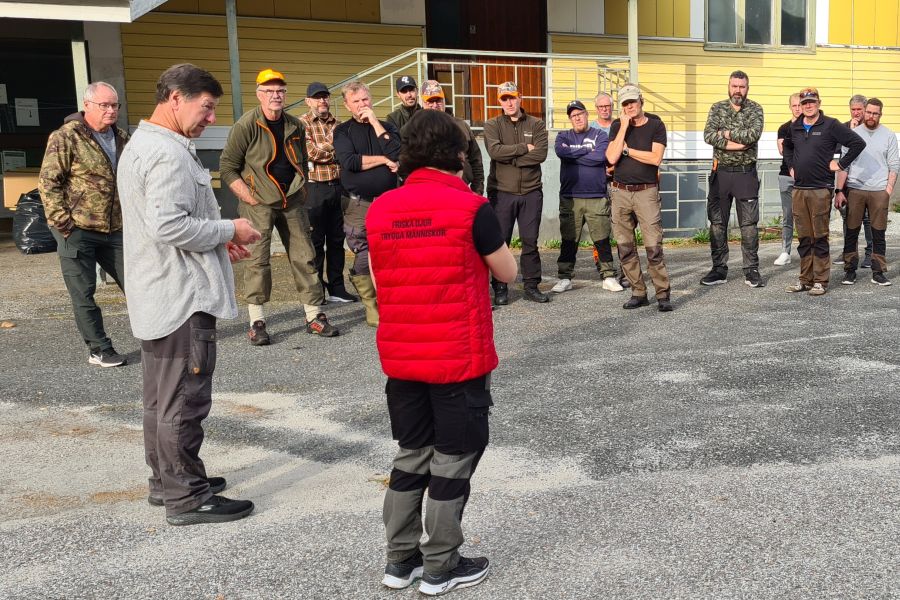 ASP in Schweden: Zwei neue Infektionen bei Wildschweinen nachgewiesen