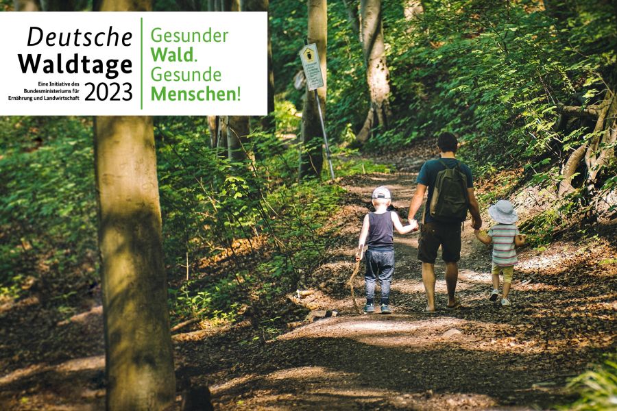 Zu den Deutschen Waldtagen 2023 sind vom 15. bis 17. September alle Bürgerinnen und Bürger zu einem Besuch in die heimischen Wälder eingeladen. Die jährlich stattfindenden Deutschen Waldtage stehen diesmal unter dem Motto ,,Gesunder Wald. Gesunde Menschen!" (Quelle: FNR e. V. / Tom Brück)