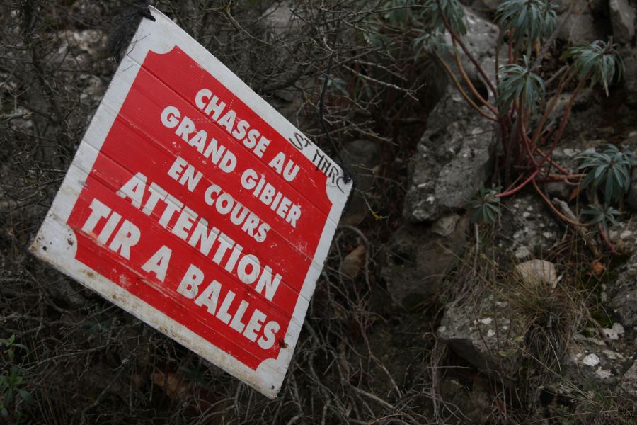 Ein Schild an einem Baum, das vor einer Jagd und den damit verbundenen Schüssen warnt. (Symbolbild: iStock/Carolina Pedrosa)