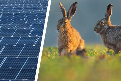 Jäger zertifizieren Photovoltaik-Freiflächenanlagen