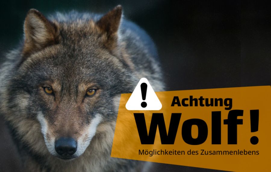 Filmpremiere "Achtung Wolf!" am 1. Oktober 2023 (Foto: Shutterstock/Grafik Lopri.com)