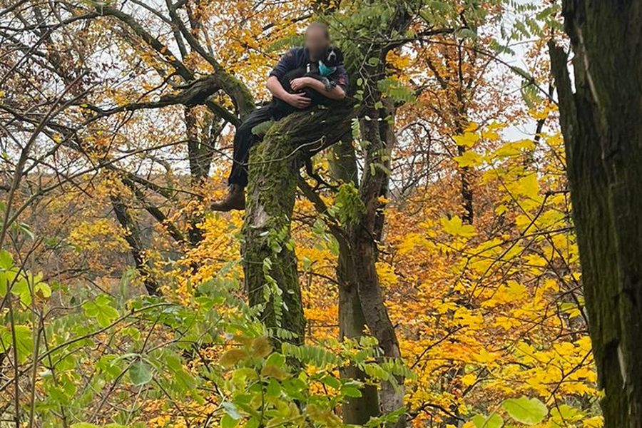 Hoch oben in einem Baum wird der Jagdhund von seinem Retter gehalten, bis das Tier schließlich von der Feuerwehr Stuttgart abgeseilt wird. (Foto: Feuerwehr Stuttgart)